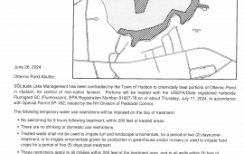 otternic pond treatment flyer