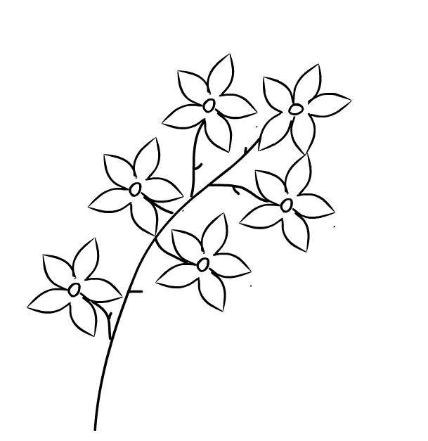spring flowers drawing